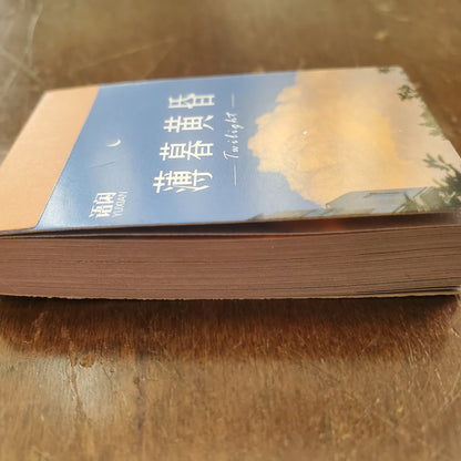 Mini Booklet of Aesthetic Stickers